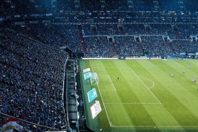 中国放弃WTO新特权背后：国际规则趋同化？，中国退出wto了吗