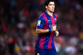 中国篮球职业球员的职业寿命统计与延长策略，中国职业篮球运动员平均身高