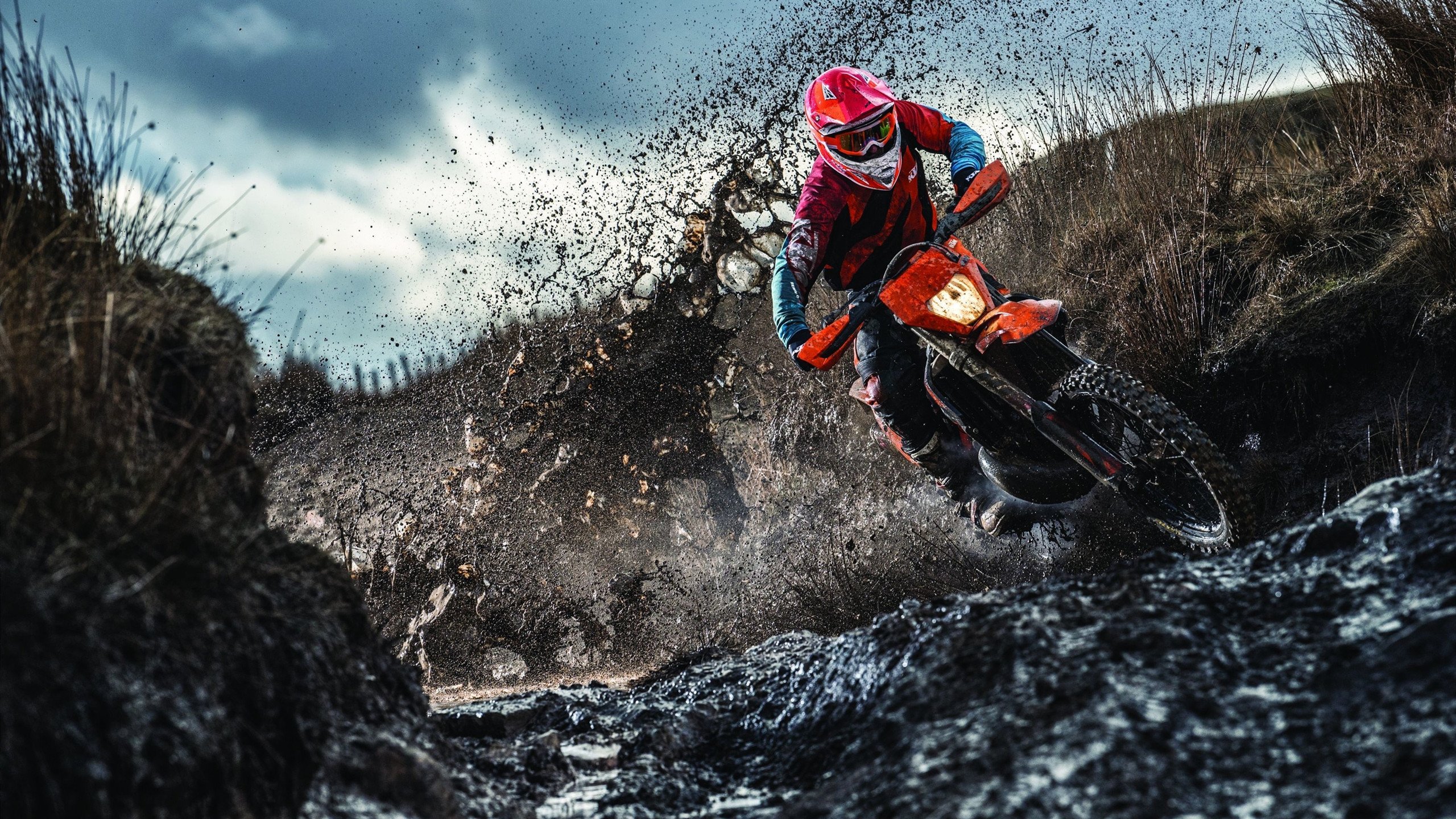 荷兰女足9-8绝杀法国，首次参赛即打入U17世界杯四强，荷兰女足输给谁了